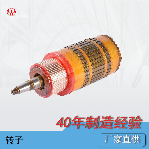 湘潭電機(jī)車配件--電機(jī)車電機(jī)轉(zhuǎn)子